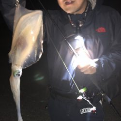 アオリイカ連発